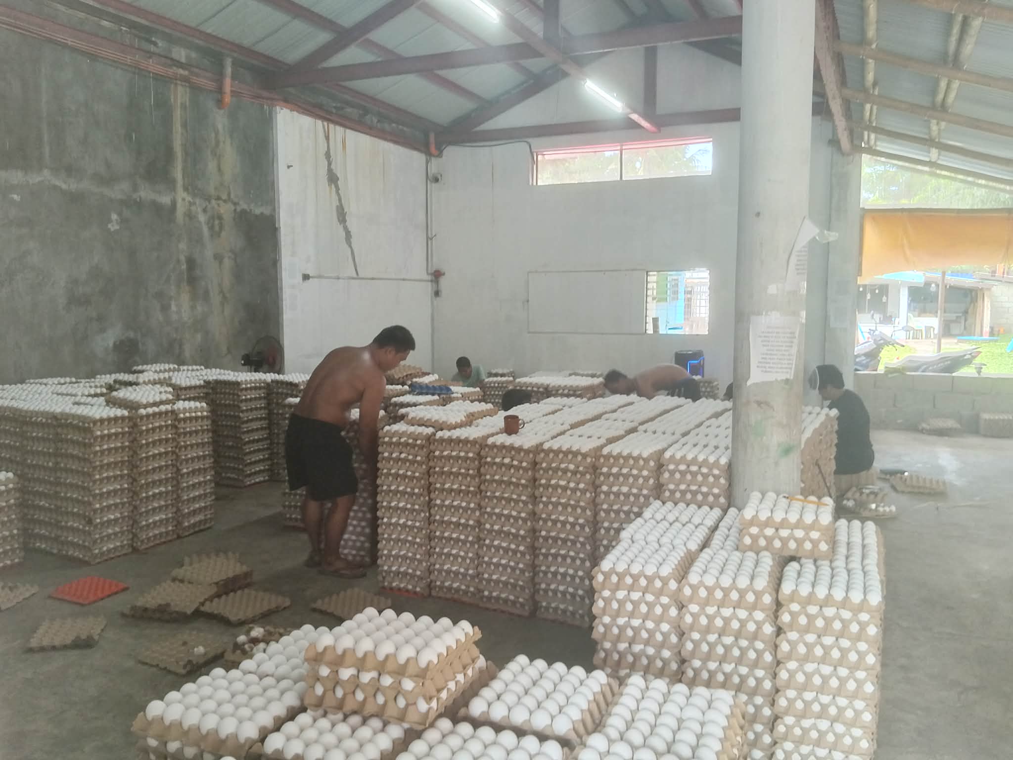 Partner farm in Cogon, Roxas City