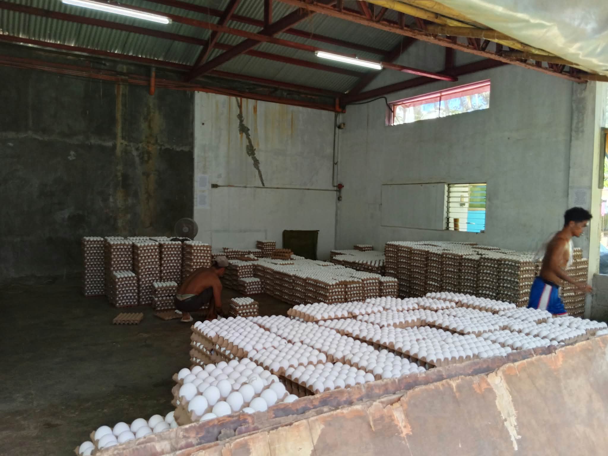 EGGTRADE team