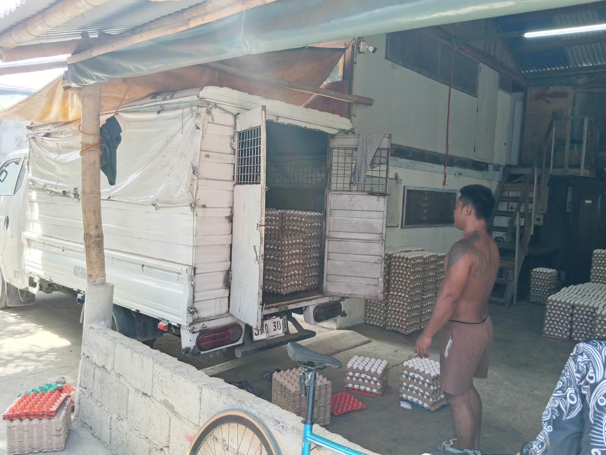 Loading eggs for delivery
