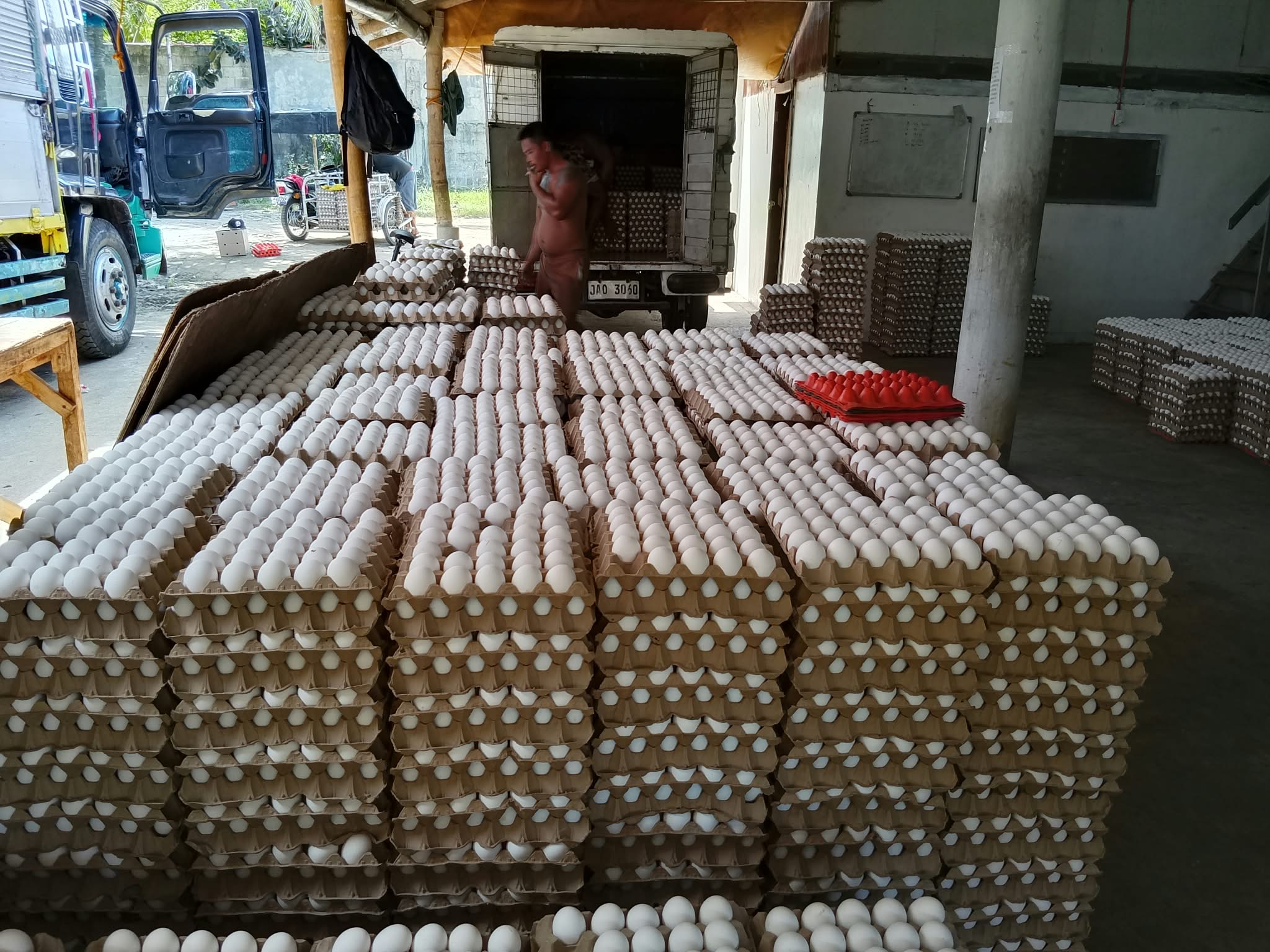 Quality checked eggs